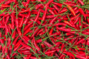 300 THIN CAYENNE PEPPER Hot Chili Long Green Red Slim Capsicum Vegetable Seeds
